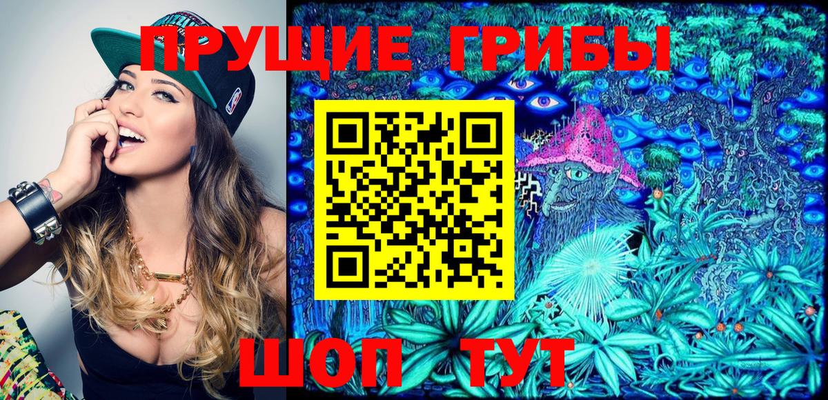 Асино  Псилоцибиновые грибы Magic Shrooms  Вход с VPN  Псилоцибиновые грибы Psilocybe 